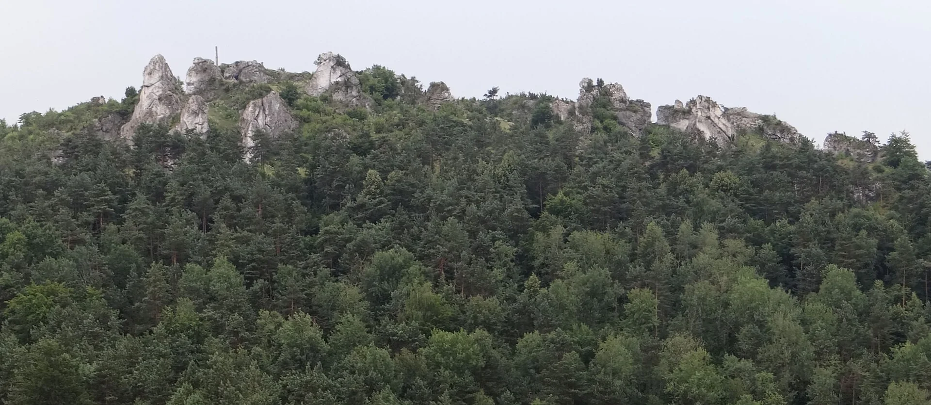 Góra Zborów w okolicach Podlesic